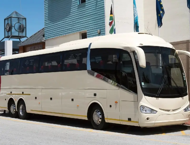 Buses